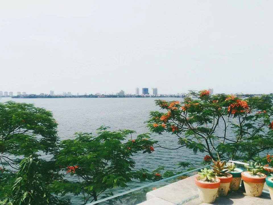 BÁN GẤP TÒA NHÀ MẶT PHỐ NGUYỄN ĐÌNH THI, TÂY HỒ - 160M x 9T CÓ HẦM - DÒNG TIỀN 300TR/TH - Ảnh 1