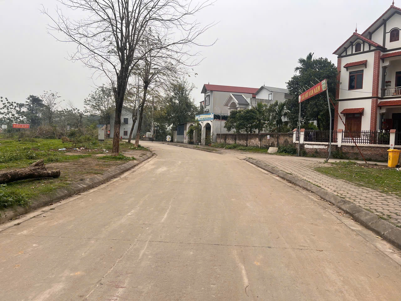 103m đấu giá khoang bèo xuân  mai - Ảnh 2