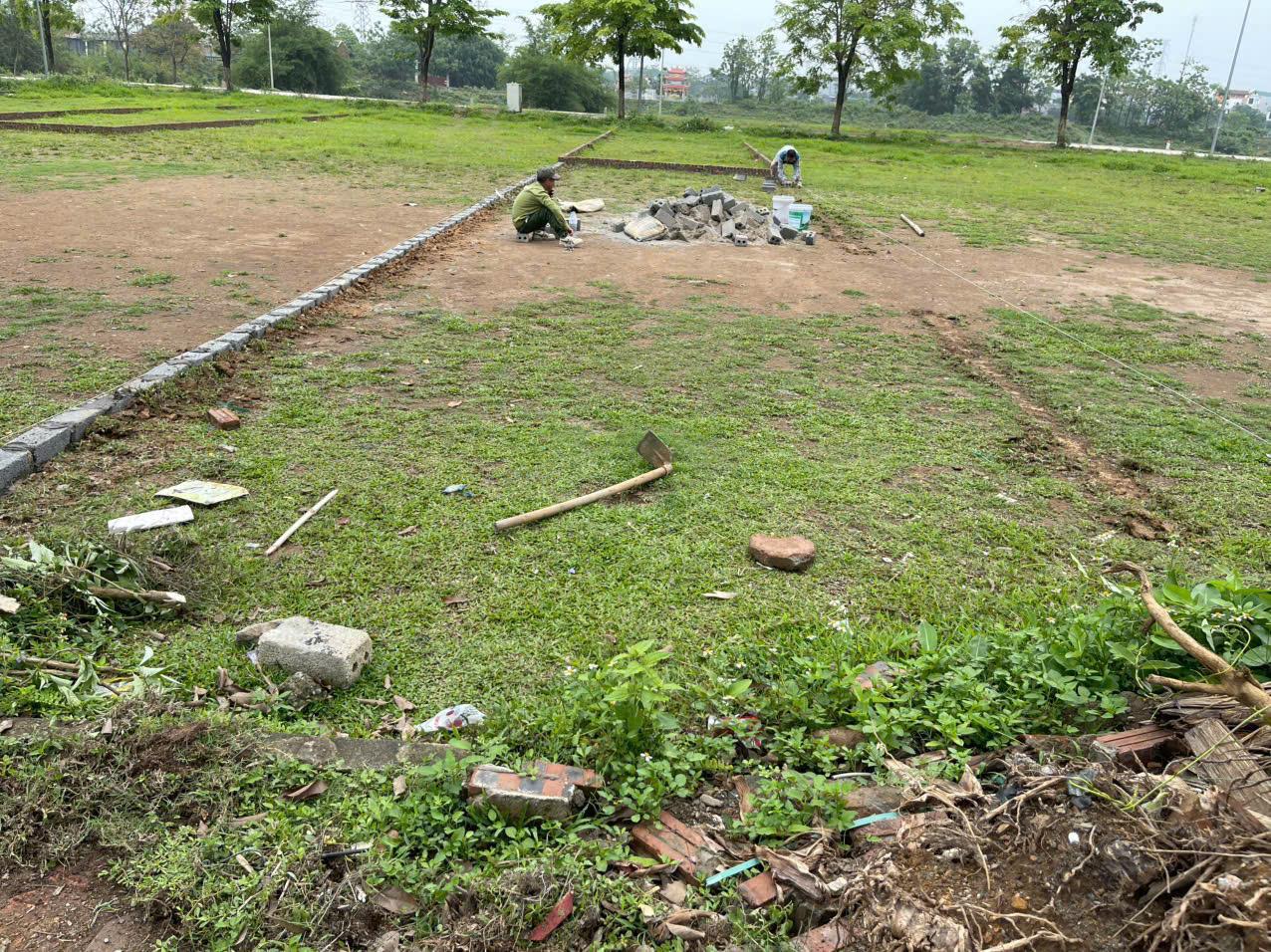103m đấu giá khoang bèo xuân  mai - Ảnh 4