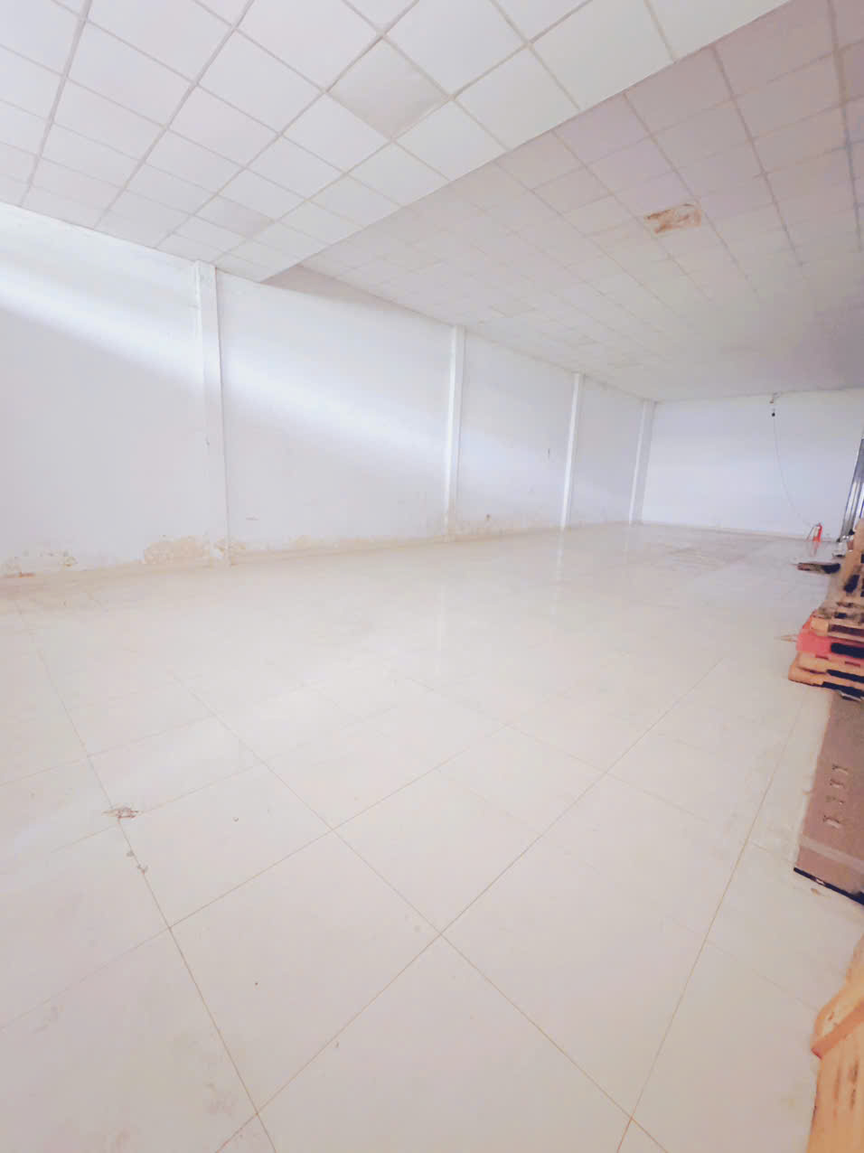 CHÍNH CHỦ CHO THUÊ KHO/MẶT BẰNG KINH DOANH – 160m² – CHỈ 19 TRIỆU/THÁNG - Ảnh 1