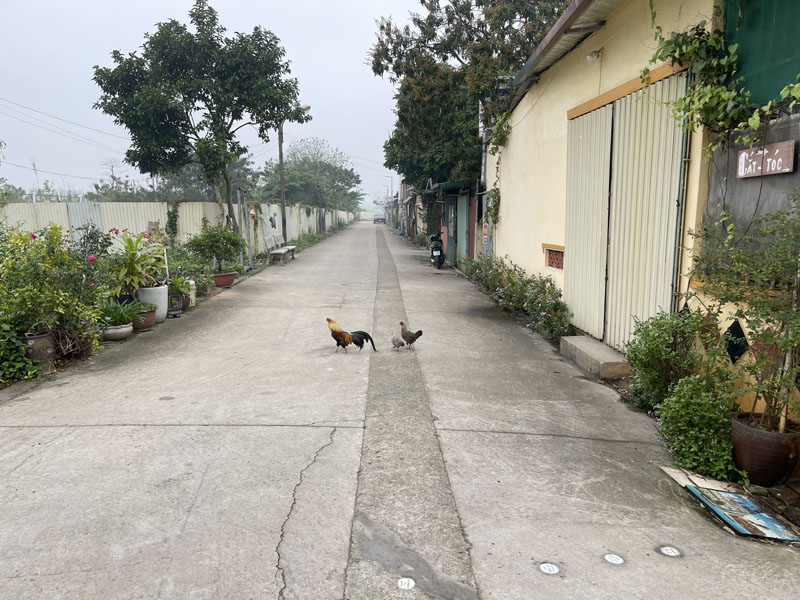 Cần bán 83,9m2 đất An Đào D. Trục đường quy hoạch mở rộng 30m (Hải Đăng 8 - Lý Thánh Tông) - Ảnh 4