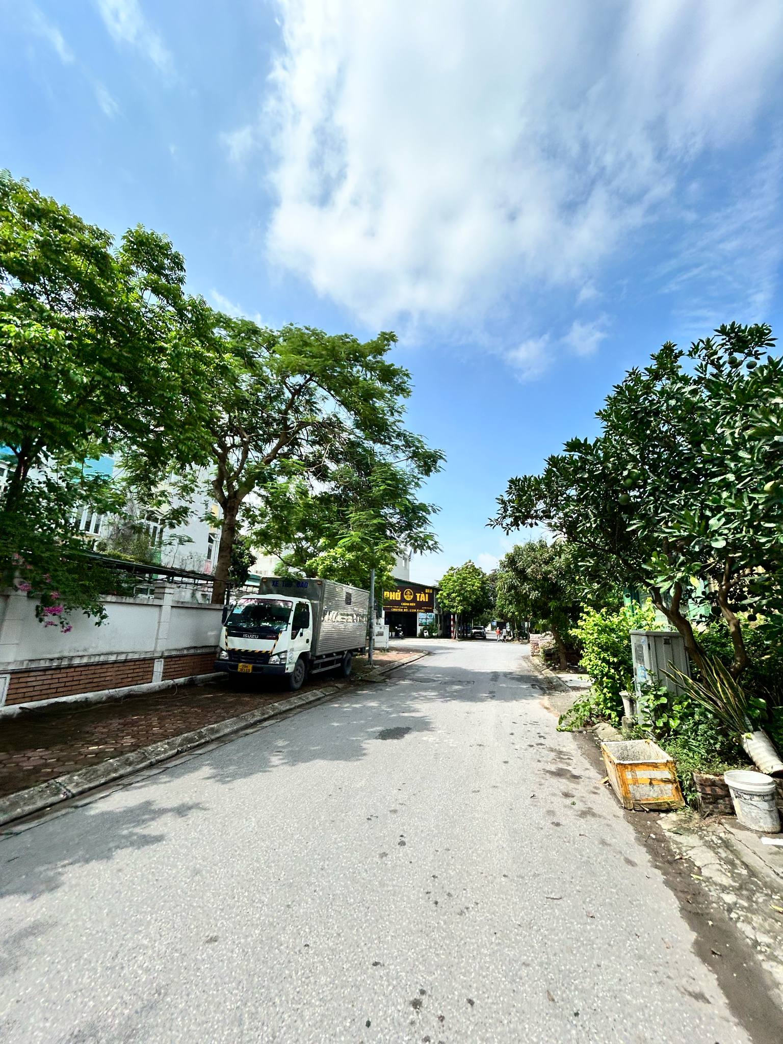 Bán lô góc biệt thự khu đấu giá 31ha Trâu Quỳ/Gia Lâm, 230m2 sẵn dòng tiền,siêu hiếm - Ảnh 2