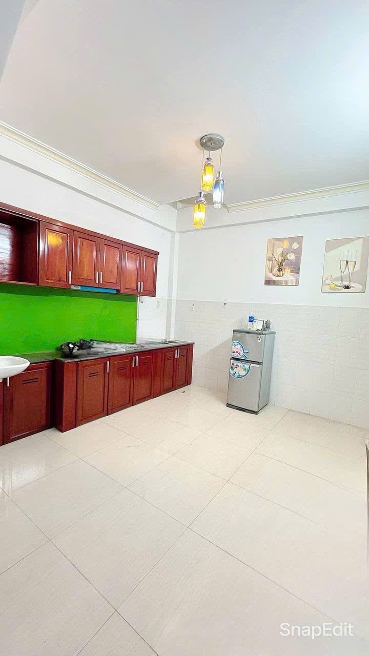BÁN CĂN NHÀ TÂM HUYẾT TTTP 3 TẦNG 1TUM HẺM BẠCH ĐẰNG KHU PHỐ TÂY P. TÂN LẬP - Ảnh 2