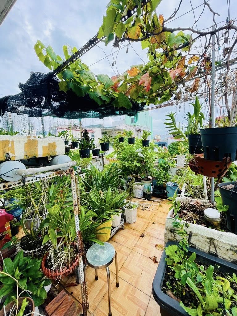 MT KHU BÀN CỜ HỌ LÊ - SẴN DÒNG TIỀN - 4 TẦNG - 96M NGANG 6.2 NỞ HẬU NHỈNH 8 - Ảnh 4