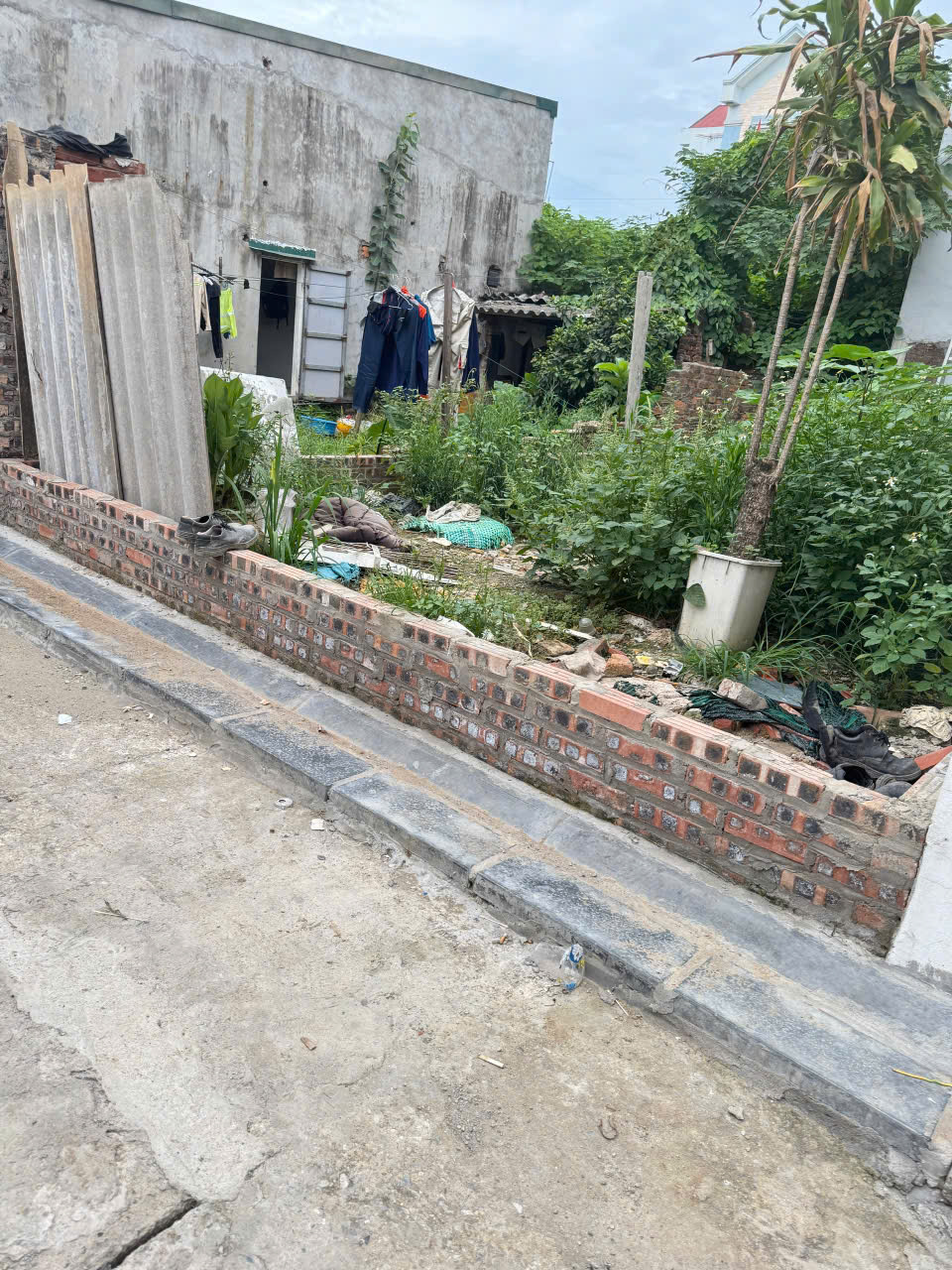 BÁN 50M TRUNG THÔN - ĐÔNG HỘI - ĐÔNG ANH - NGÕ NÔNG Ô TÔ RA VÀO THOẢI MÁI -141TR/1M - Ảnh chính
