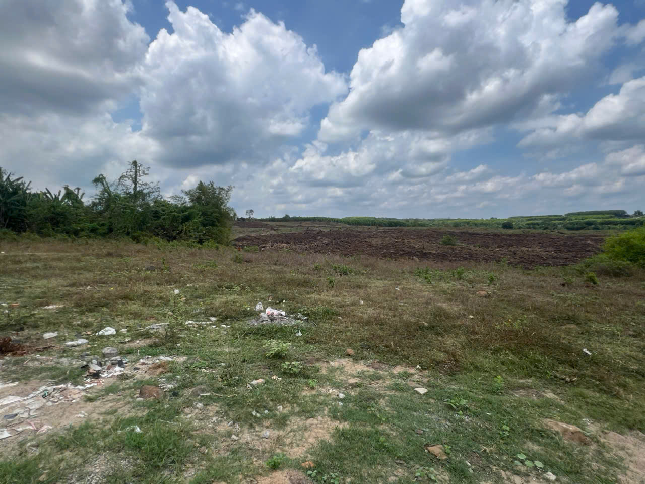 ĐẤT ĐẸP - GIÁ TỐT - Bán GẤP Lô Đất Tiềm Năng Tại  Xã Phước Bình,  Long Thành, Đồng Nai - Ảnh 2
