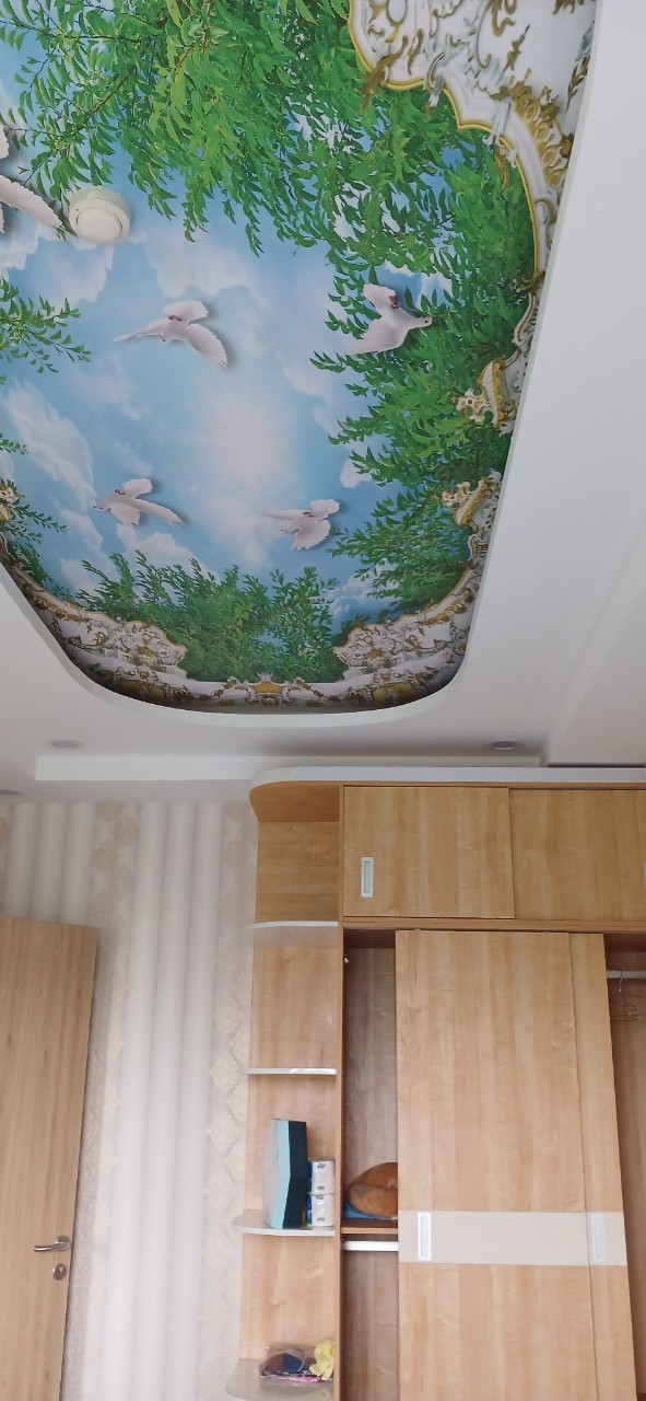 Chính chủ bán căn 70m2 nội thất cao cấp, có sân vườn - Ảnh 2