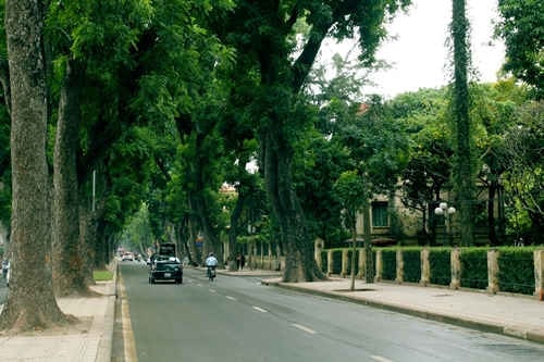 BÁN NHÀ MẶT PHỐ KHƯƠNG TRUNG -THANH XUÂN - VỊ TRÍ ĐẸP -KINH DOANH TỐT 48M2 + 3 TẦNG . - Ảnh chính