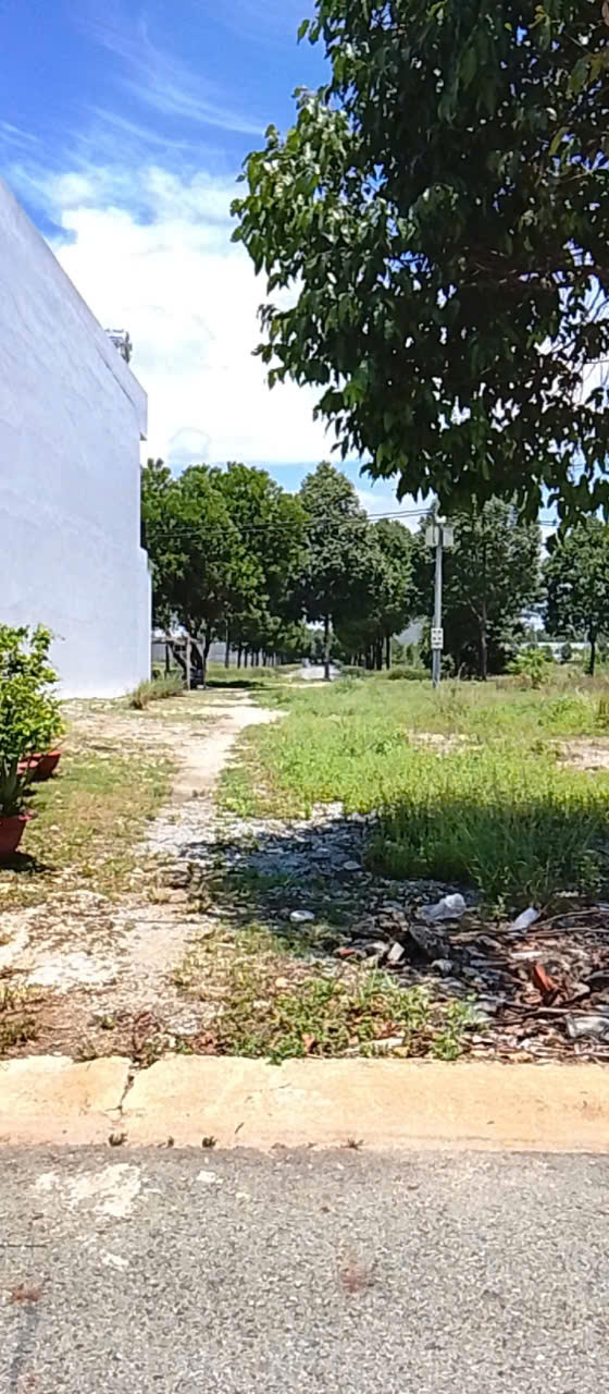 Chủ ra nước ngoài bán gấp lô đất 160m2 giá 8xx triệu ngay trung tâm Bàu Bàng-Bình Dương - Ảnh 1