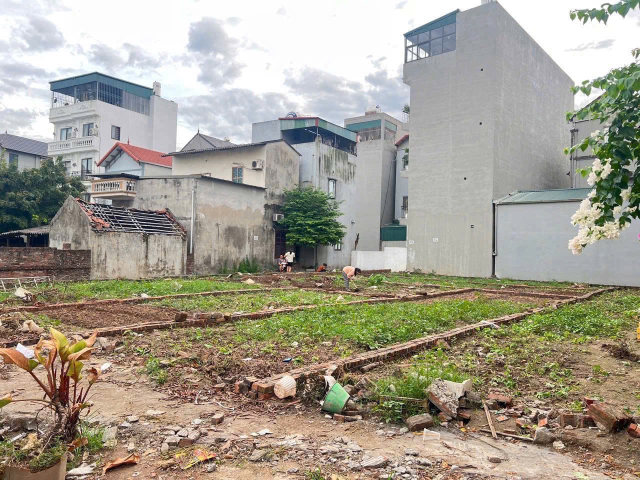 🌴🌴 Siêu Phẩm! Bán đất View Hồ 63m tại Đầm Tranh Cự Khối, Long Biên. 💥💥💥💥 - Ảnh 3