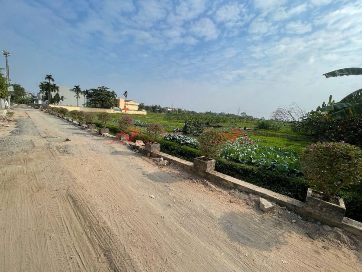 CHÍNH CHỦ BÁN LÔ ĐẤT 63,1M TẠI HOÀNG DIỆU-CHƯƠNG MỸ-HÀ NỘI - Ảnh chính