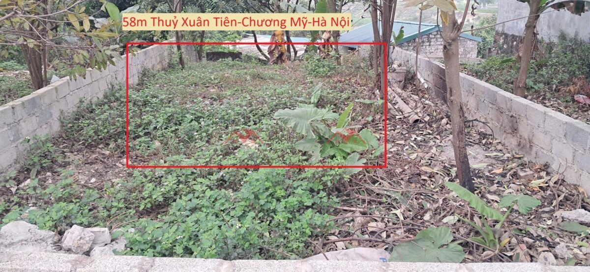 CHÍNH CHỦ BÁN LÔ ĐẤT 58M TẠI THUỶ XUÂN TIÊN-CHƯƠNG MỸ-HÀ NỘI - Ảnh chính