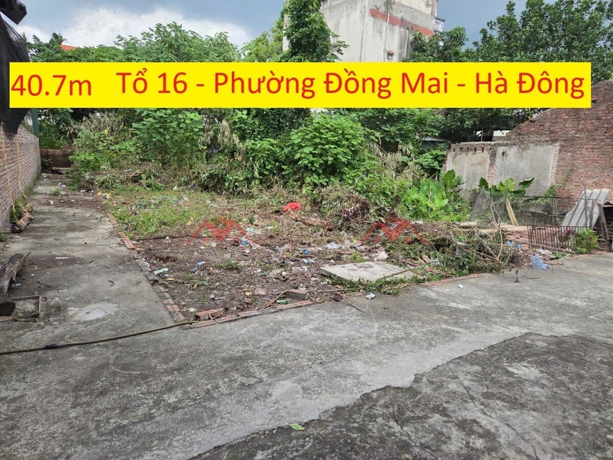 CHÍNH CHỦ BÁN LÔ ĐẤT 40,7M TẠI TỔ 16 ĐỒNG MAI-HÀ ĐÔNG-HÀ NỘI - Ảnh chính