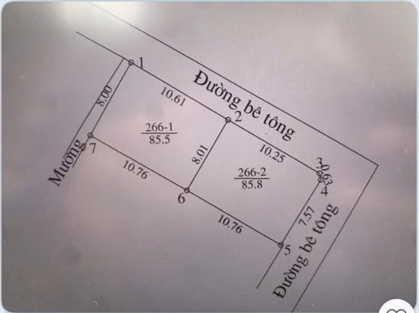#CC BÁN 02 MẢNH ĐẤT 85,5M _ VÕNG XUYÊN _ PHÚC THỌ _ HÀ NỘI💥💥💥. - Ảnh chính