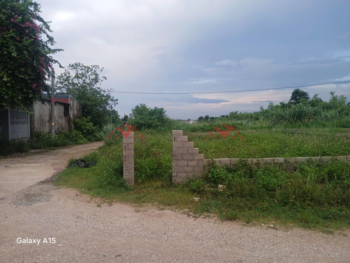 CHÍNH CHỦ BÁN LÔ ĐẤT 362,69M HOÀNG VĂN THỤ-CHƯƠNG MỸ-HÀ NỘI - Ảnh 2