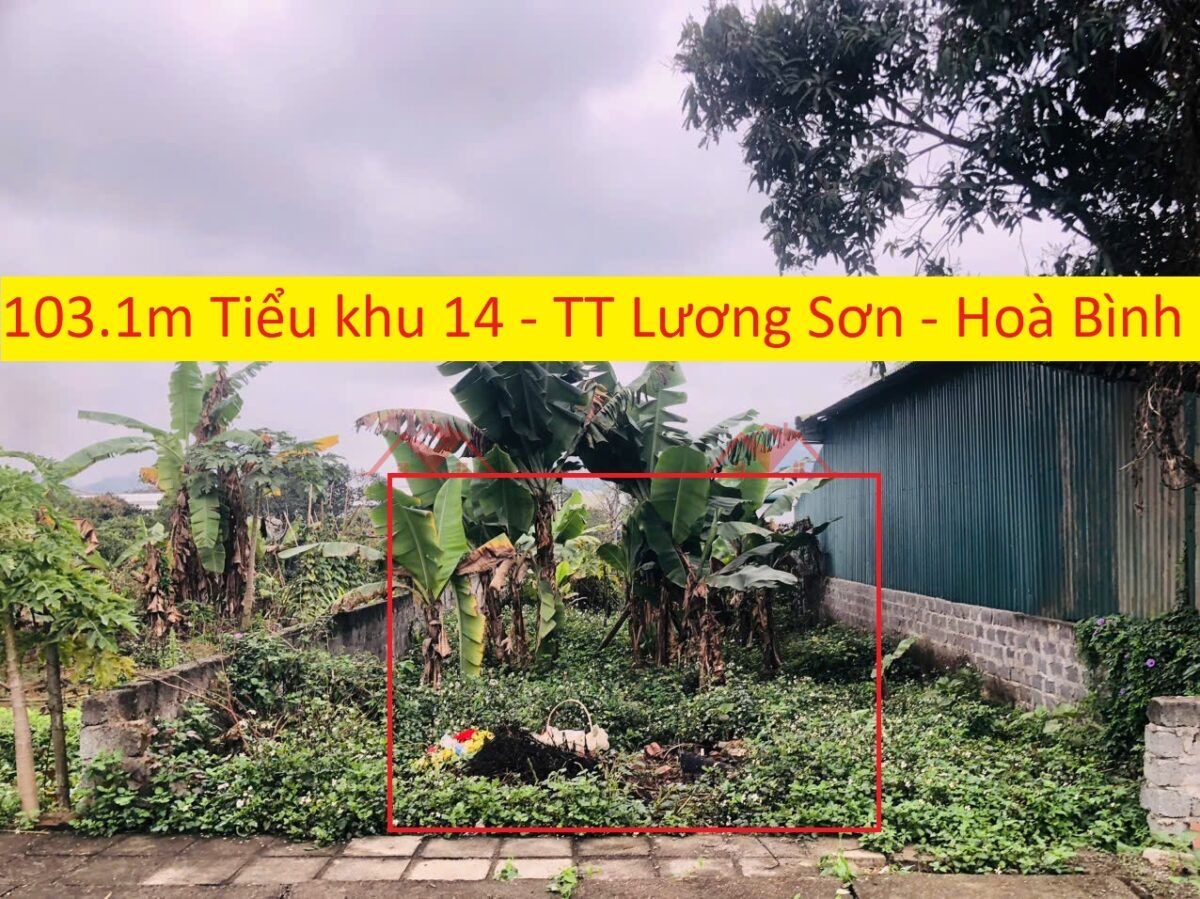 CHÍNH CHỦ BÁN LÔ ĐẤT 103,1M TẠI TT LƯƠNG SƠN-HÒA BÌNH - Ảnh chính