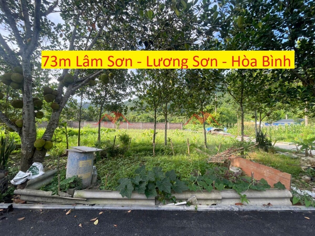 CHÍNH CHỦ BÁN LÔ ĐẤT 73M TẠI LÂM SƠN-LƯƠNG SƠN-HÒA BÌNH - Ảnh chính