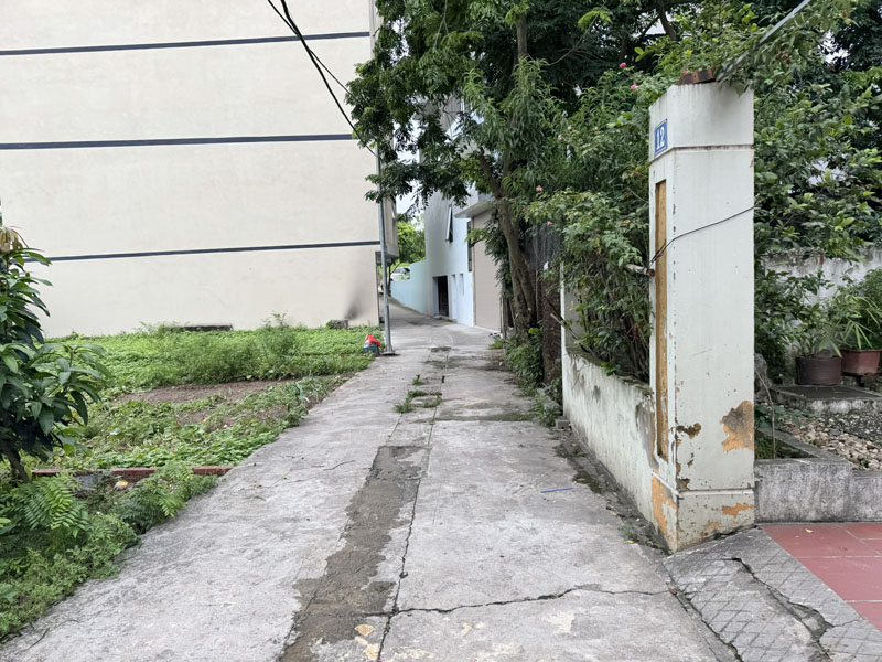 Bán Đất Thổ Cư Đặng Xá, Gia Lâm 50,2m2 - Sổ đỏ chính chủ, gần đường Ỷ Lan, ô Tô vào tận nơi - Ảnh chính