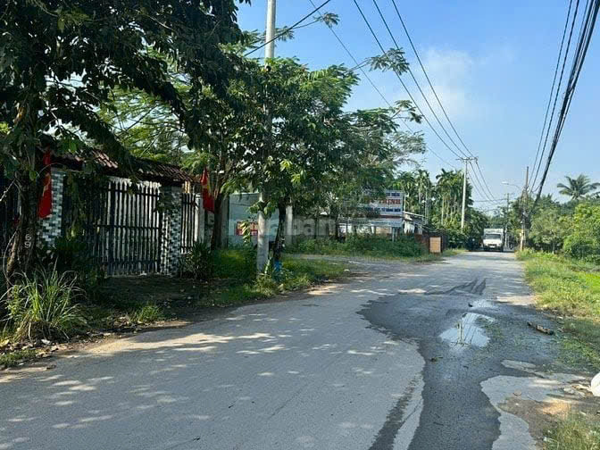 CHO THUÊ LÔ ĐẤT MẶT TIỀN ĐƯỜNG NHỊ BÌNH 15, HUYỆN HÓC MÔN, TP.HCM - Ảnh 2