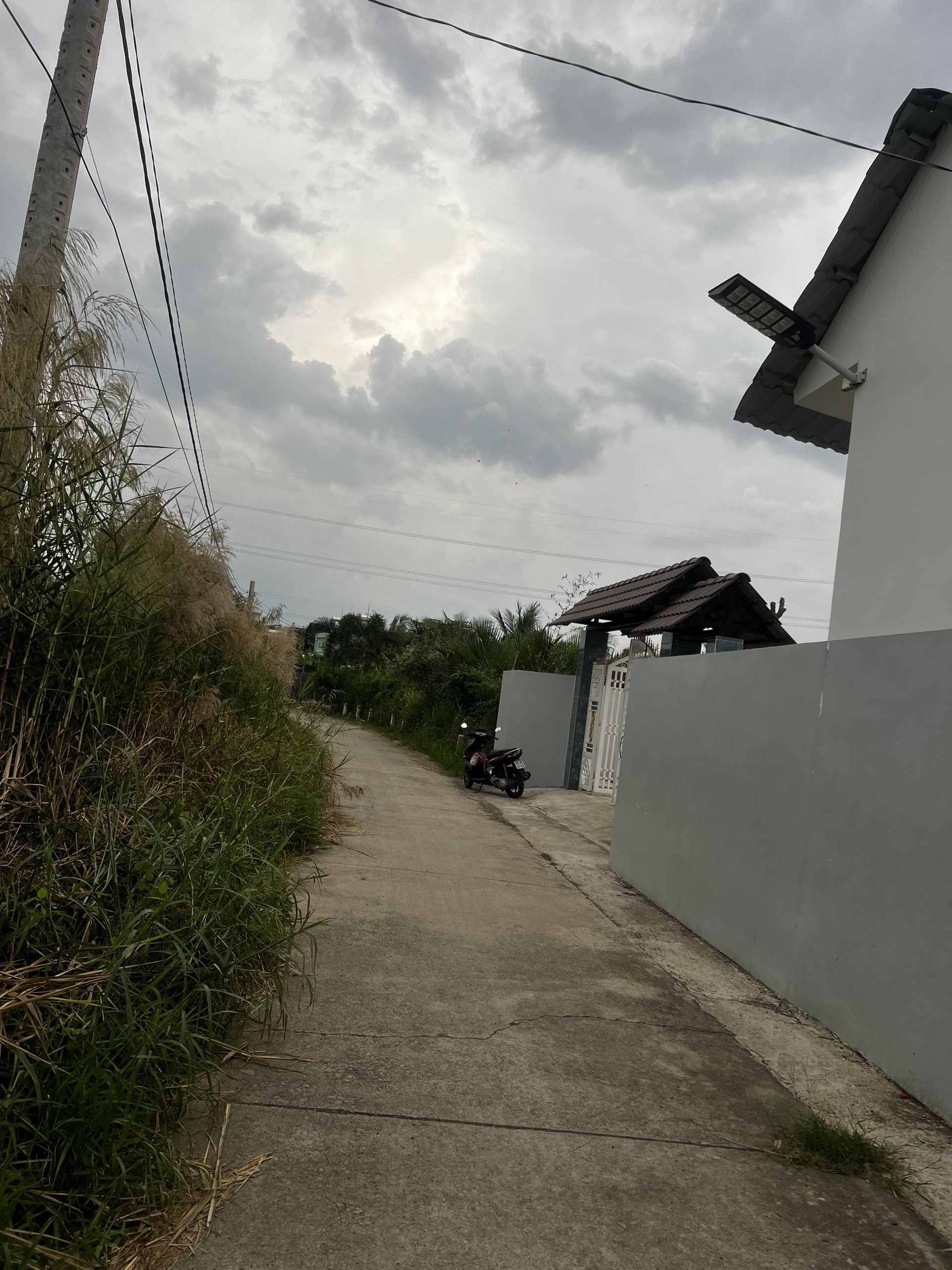 Bán ĐẤT vườn hẻm xe hơi, Lê Văn Lương, Nhơn Đức, Nhà Bè. 1184m2 giá 10,65 tỷ - Ảnh 1