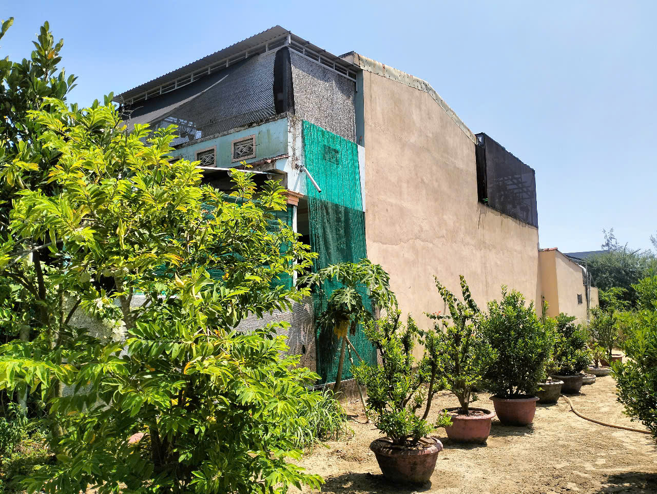 ♪ Nhà Sân Vườn, đường Ô tô có Lề, TX Điện Bàn, 200m2, cách Biển 4 phút, nhỉnh 2 tỷ - Ảnh 1