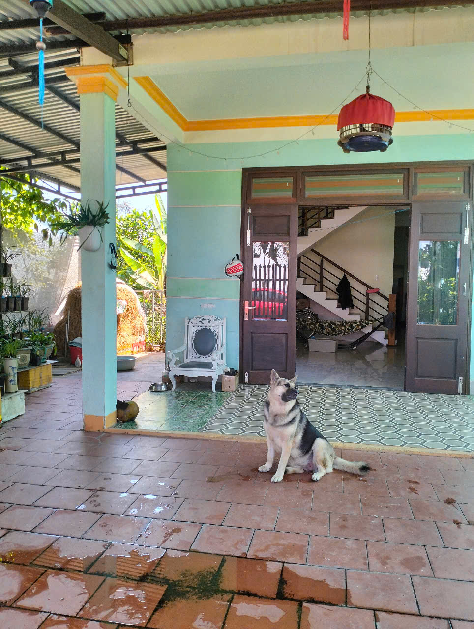 ♪ Nhà Sân Vườn, đường Ô tô có Lề, TX Điện Bàn, 200m2, cách Biển 4 phút, nhỉnh 2 tỷ - Ảnh chính