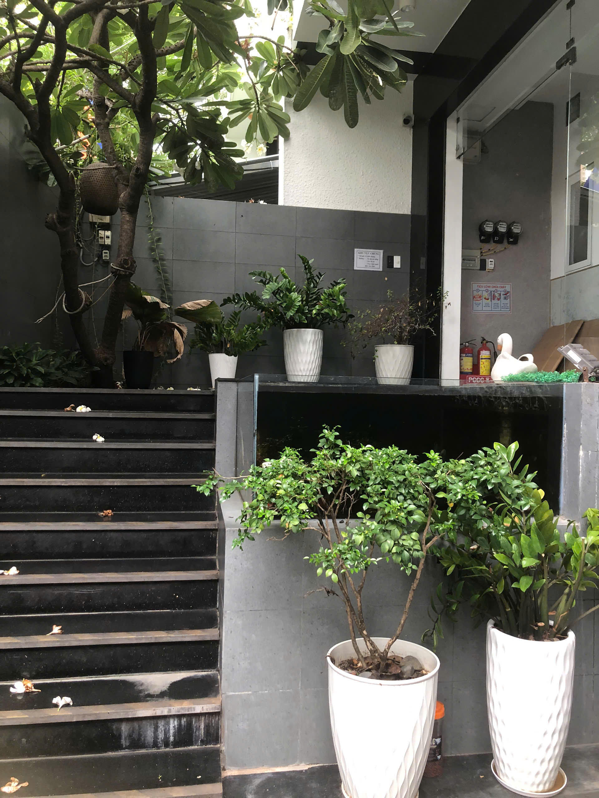 SIÊU PHẨM NHÀ KHAI THÁC DÒNG TIỀN – HẺM XE TẢI ĐẸP – GIÁ BÁN CHỈ 15 TỶ. LH:0988954579. - Ảnh 4