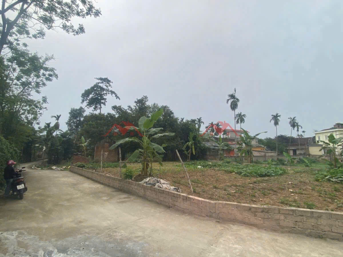 CHÍNH CHỦ BÁN LÔ ĐẤT 84,5M TẠI NAM HÀI-NAM PHƯƠNG TIẾN-CHƯƠNG MỸ-HÀ NỘI - Ảnh 1