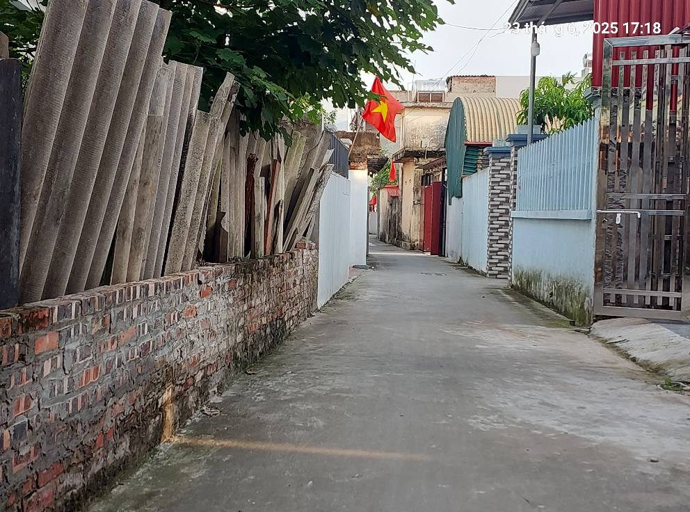 Đất Tiên Dương 85m2,mt4m, ô tô nhỏ, 4.6 tỷ, gần phố, Đông Anh. - Ảnh 2