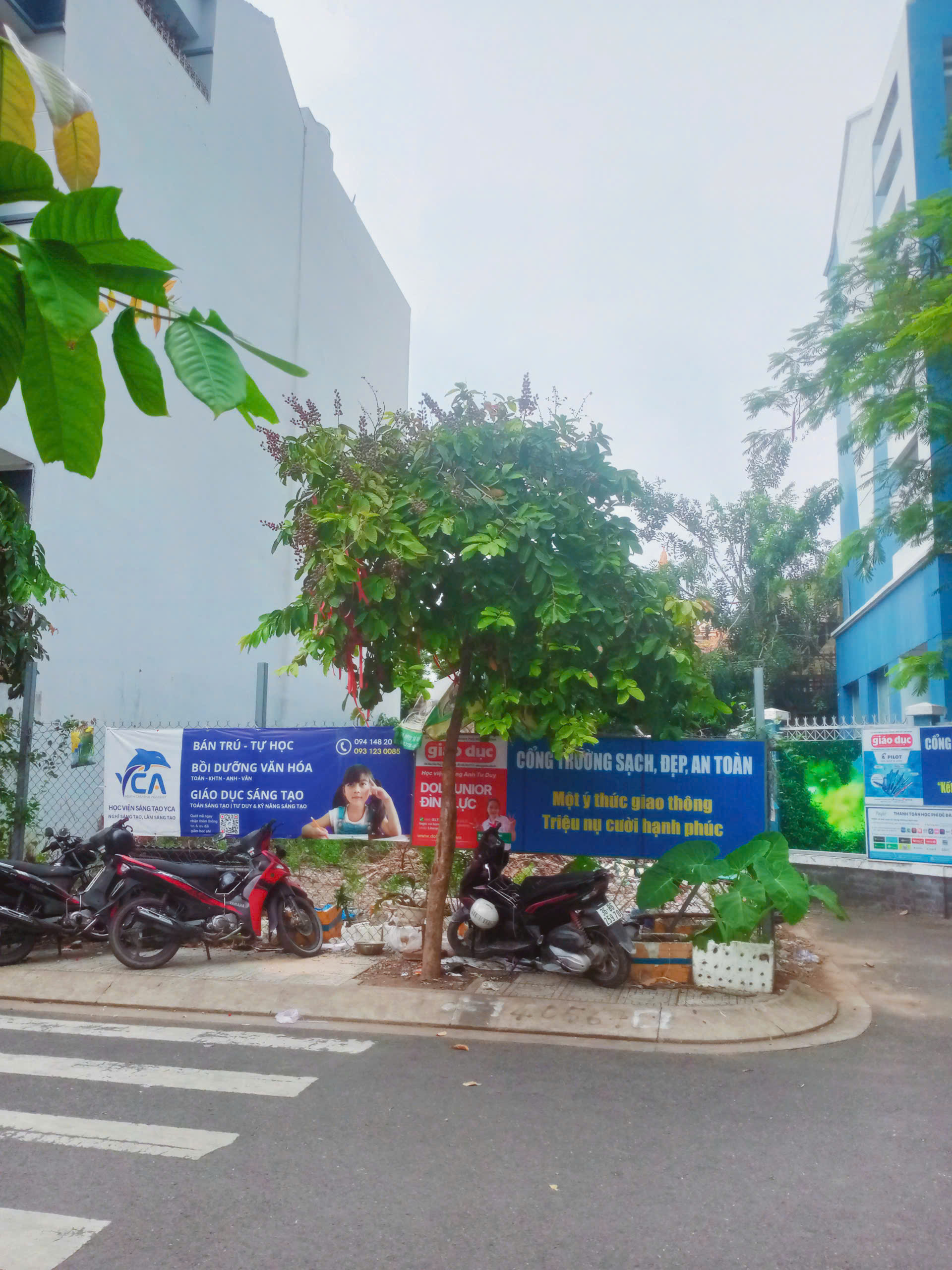 Bán đất thổ cư 239m² (10x25m) – hẻm xe tải 8m – đường Ni Sư Huỳnh Liên, Tân Bình – giá 33 tỷ TL - Ảnh 2