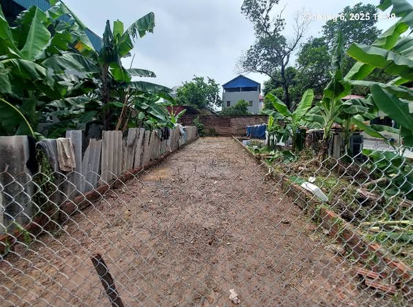 Bán đất Tân Dân, 82m2, mt4m, ô tô, 1.98 tỷ, Sóc Sơn - Ảnh chính