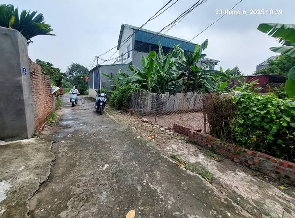 Bán đất Tân Dân, 82m2, mt4m, ô tô, 1.98 tỷ, Sóc Sơn - Ảnh 1