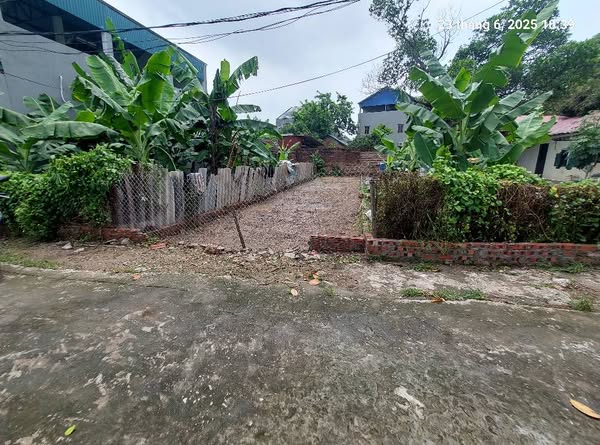 Bán đất Tân Dân, 82m2, mt4m, ô tô, 1.98 tỷ, Sóc Sơn - Ảnh 3
