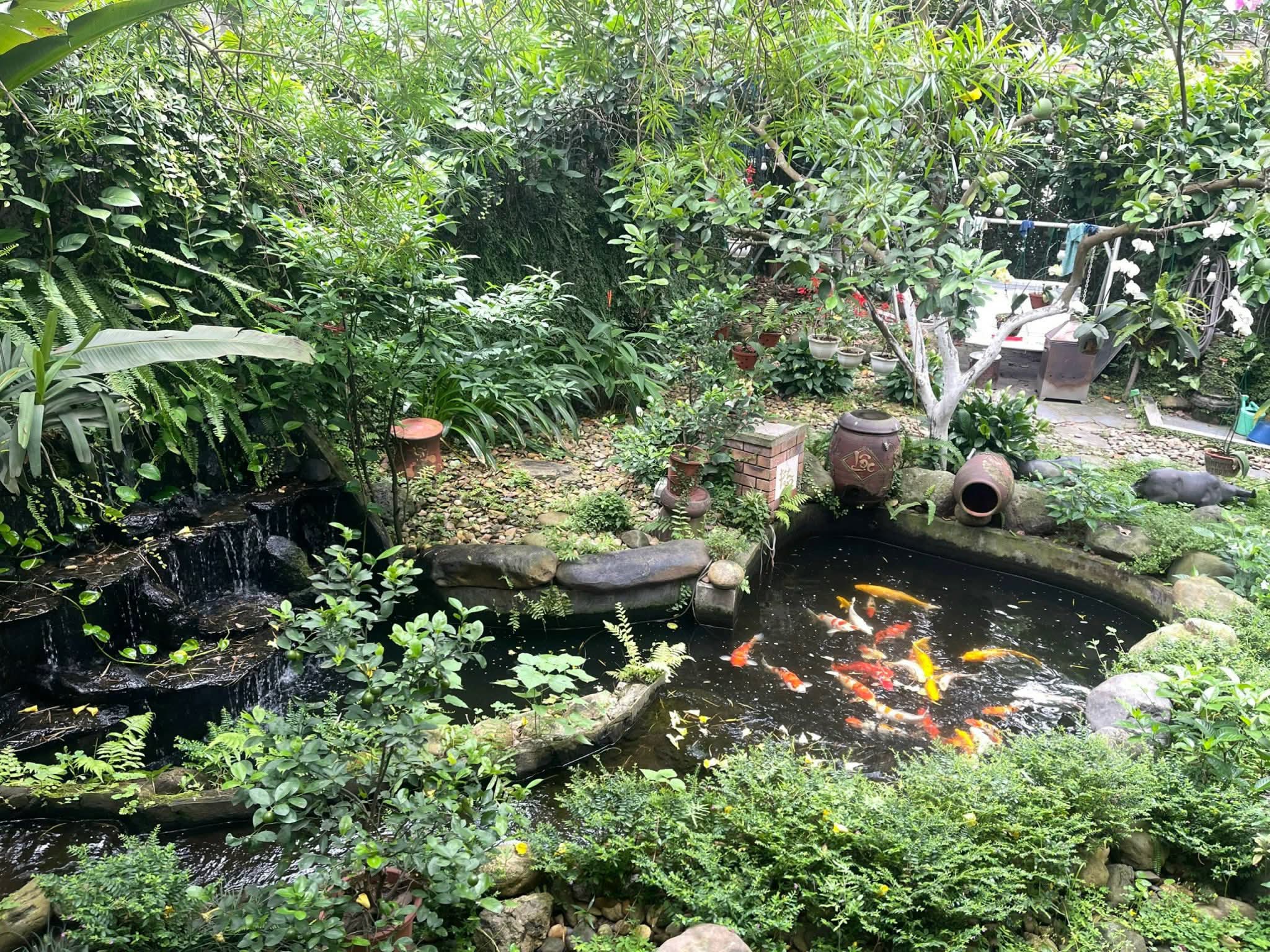 🌿 BÁN BIỆT THỰ SÂN VƯỜN NGỌC THỤY – TRUNG TÂM LONG BIÊN 🌿<br>💎 Diện tích đất: 378m² – Diện tích sử - Ảnh 3