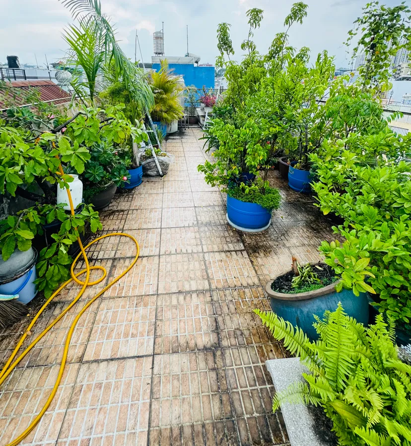 Bán nhà trung tâm Quận 3, Cách Mạng Tháng 8, kết cấu BTCT, tiện ích đầy đủ, chỉ 12 tỷ. - Ảnh 1