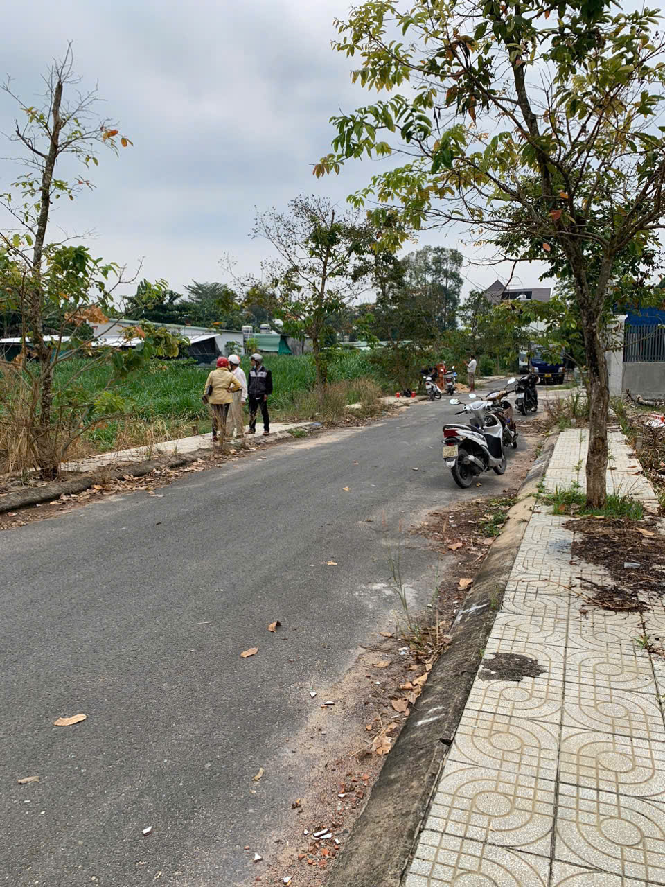 CHÍNH CHỦ CẦN BÁN LÔ ĐẤT TẠI KDC THIÊN PHÁT - TÂN THÔNG HỘI - Ảnh 1