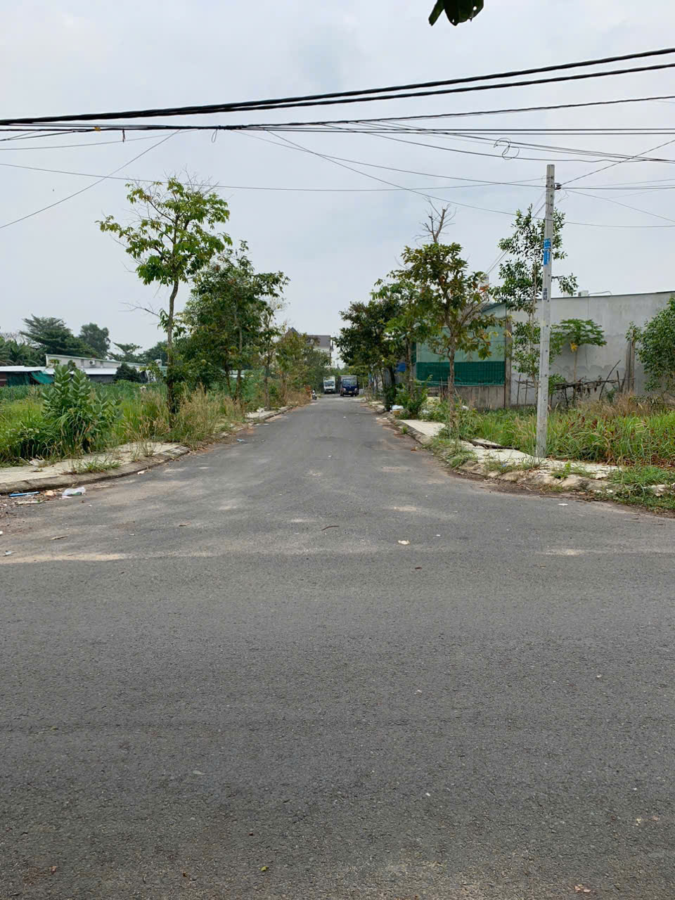 CHÍNH CHỦ CẦN BÁN LÔ ĐẤT TẠI KDC THIÊN PHÁT - TÂN THÔNG HỘI - Ảnh 2