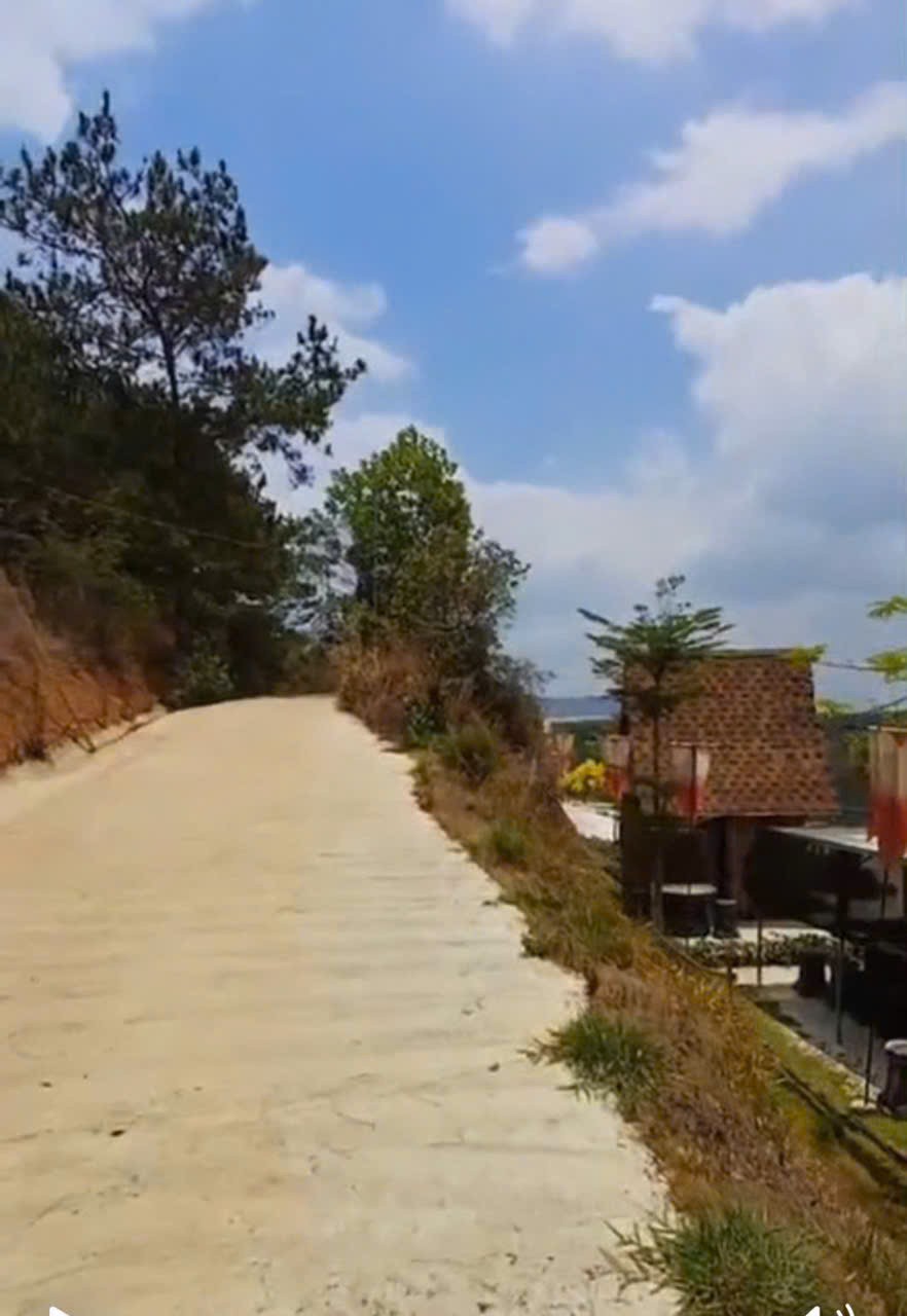 ĐẤT ĐẸP - GIÁ TỐT - Cần bán gấp ĐẤT TRỒNG CÂY LÂU NĂM TẠI TÀ NÙNG, TP. ĐÀ LẠT - Ảnh 2