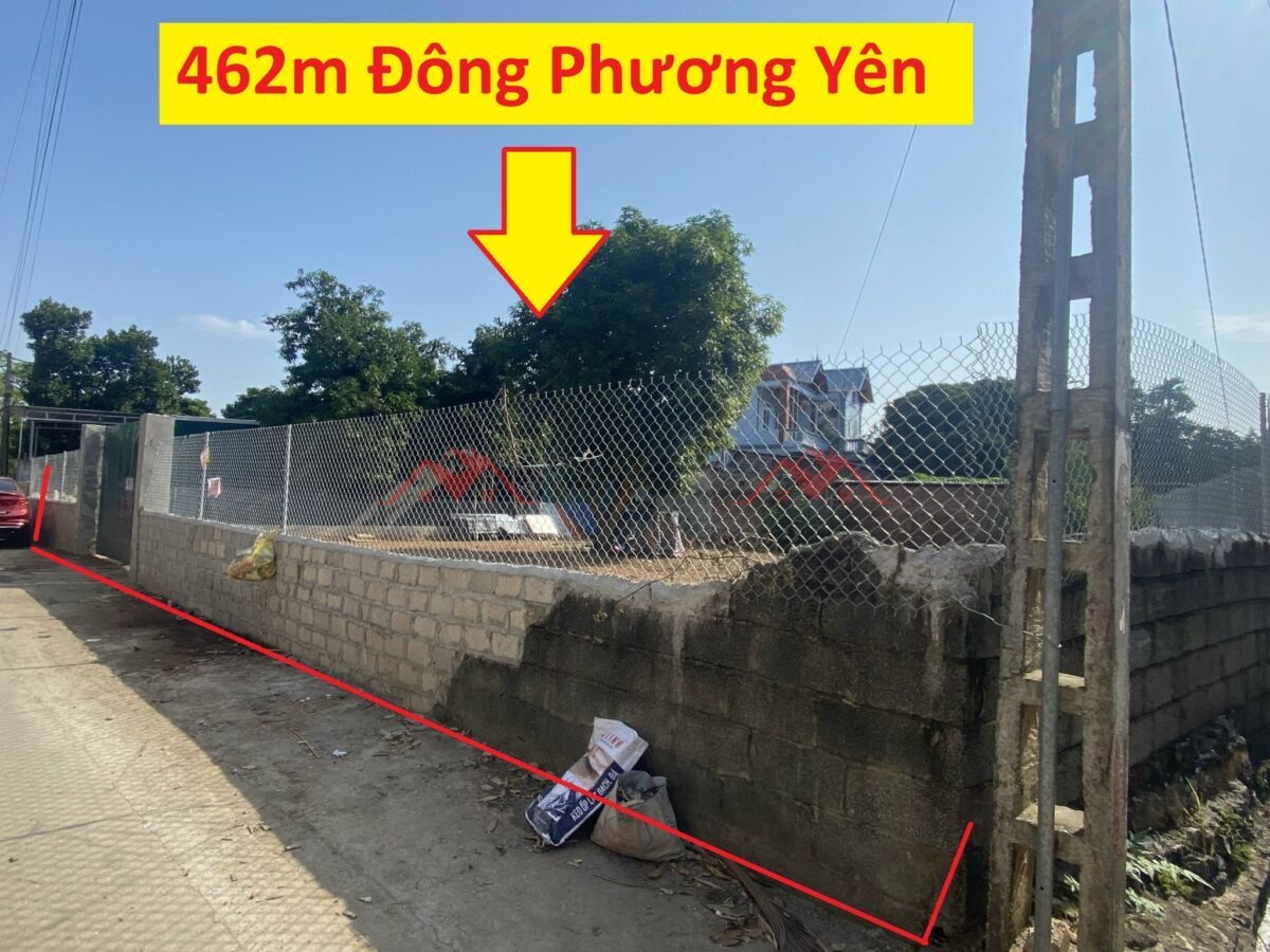 CHÍNH CHỦ BÁN LÔ ĐẤT 462M TẠI ĐÔNG PHƯƠNG YÊN-CHƯƠNG MỸ-HÀ NỘI - Ảnh chính