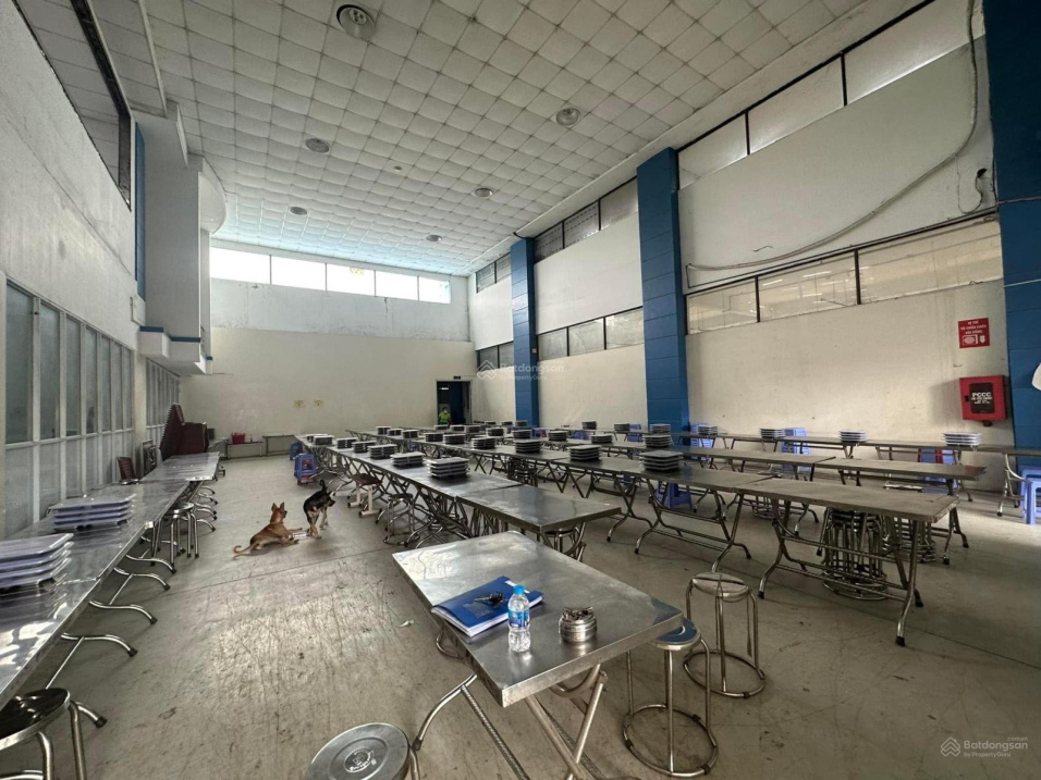 CHỦ ĐỊNH CƯ CẦN BÁN XƯỞNG KCN HIỆP THÀNH, 5500m2, 108 tỷ - Ảnh 4
