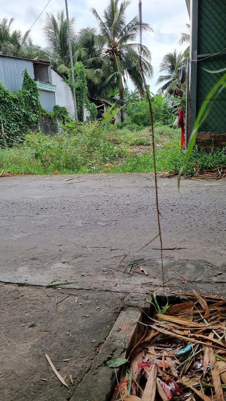 ĐẤT ĐẸP – GIÁ RẺ  - CẦN BÁN NHANH 2 LÔ ĐẤT Tại Quận BÌNH THỦY, TP CẦN THƠ - Ảnh 4
