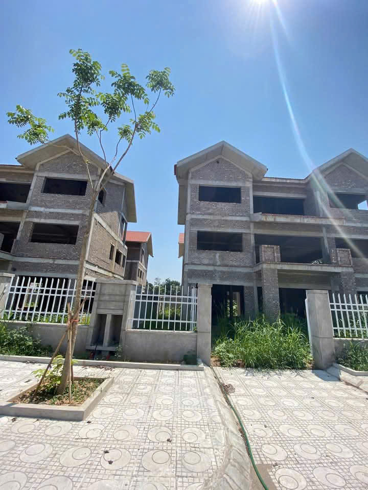 KHU ĐÔ THỊ QUANG MINH MÊ LINH HN<br>BẢNG HÀNG CẬP NHẬT CHÍNH CHỦ GỬI BÁN <br><br>👉Quỹ căn song lập có tới - Ảnh 3