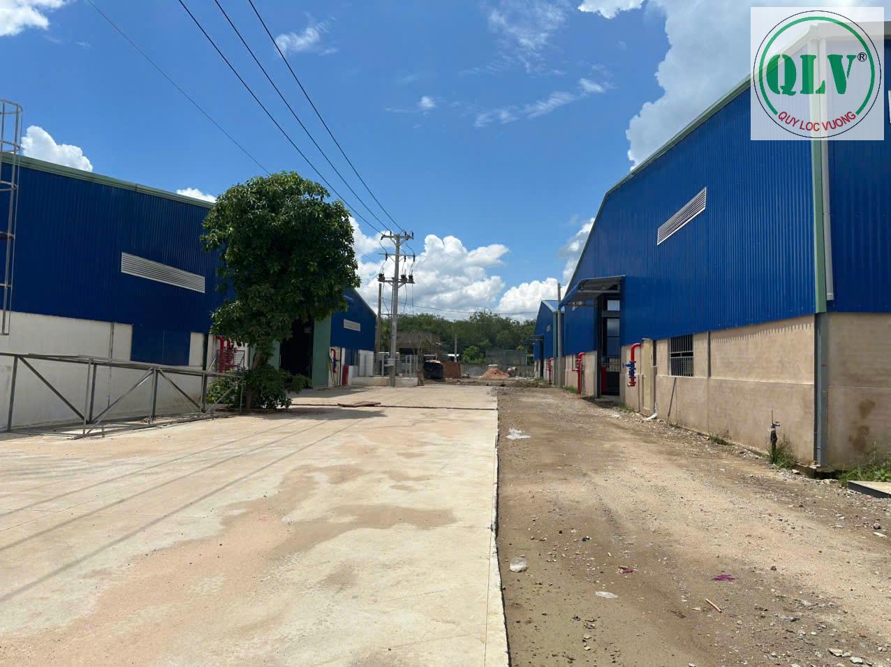 Cho thuê nhà xưởng tại Phước Hòa Phú Giáo Bình Dương diện tích 21.974m2 - Ảnh 2