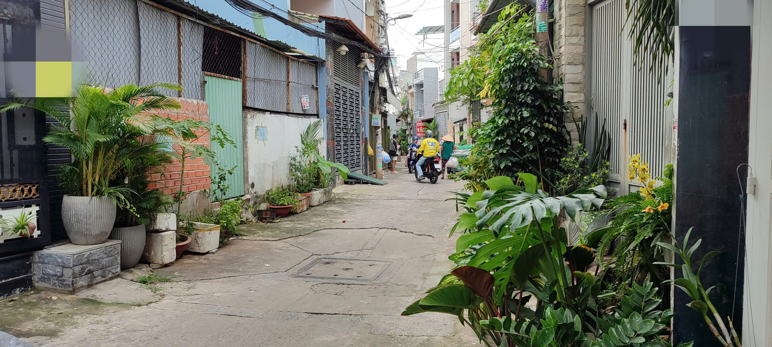 NHÀ HẺM 6M – PHỐ VĂN HÓA – NGANG 4.5M NỞ HẬU – GẦN TRƯỜNG LÊ THÁNH TÔN – CHỈ NHỈNH 8 TỶ - Ảnh 2