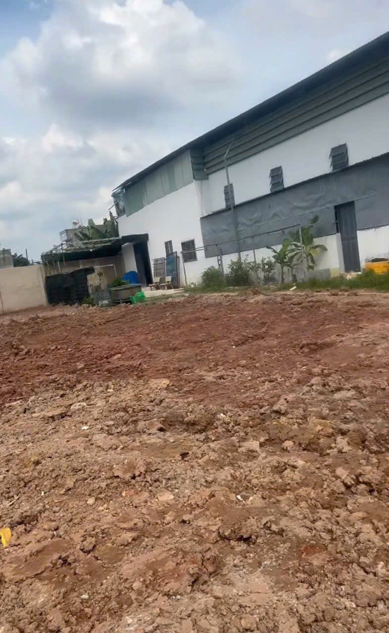 LÔ ĐẤT KHỦNG 1.600m² – NỞ HẬU – ĐƯỜNG 8M XUÂN THỚI ĐÔNG, HÓC MÔN – GIÁ 25 TỶ - Ảnh 2