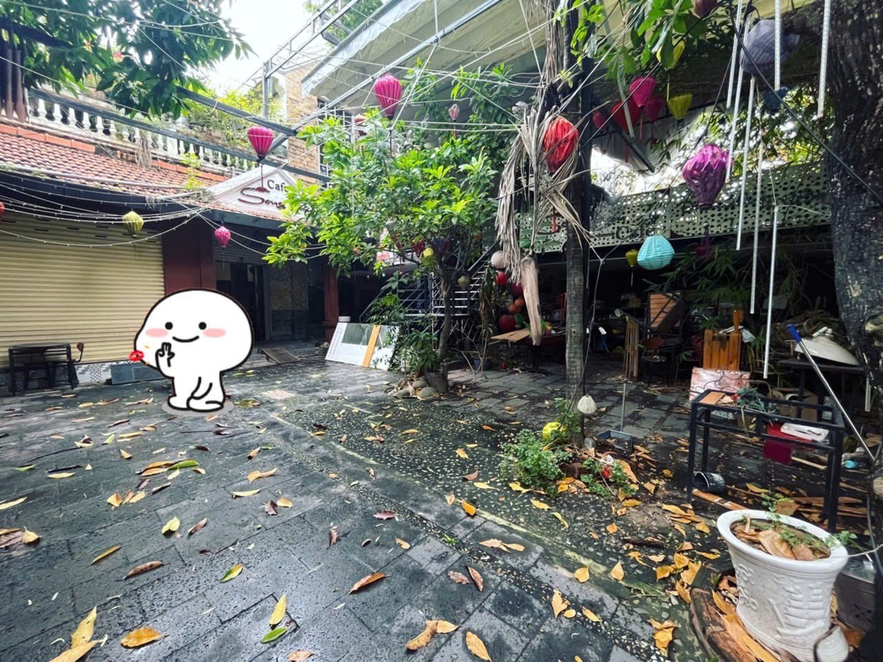 Bán nhà mặt tiền 420m² đường Nguyễn Thiện Thuật, Bình Thạnh – biệt thự cổ điển, giảm giá mạnh còn - Ảnh 1