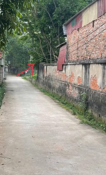 CHÍNH CHỦ BÁN 46,2M² ĐẤT ĐẸP – OTO VÀO NHÀ – CÁCH TRỤC CHÍNH 20M<br>TẠI TAM THUẤN, PHÚC THỌ, HÀ NỘI - Ảnh 2