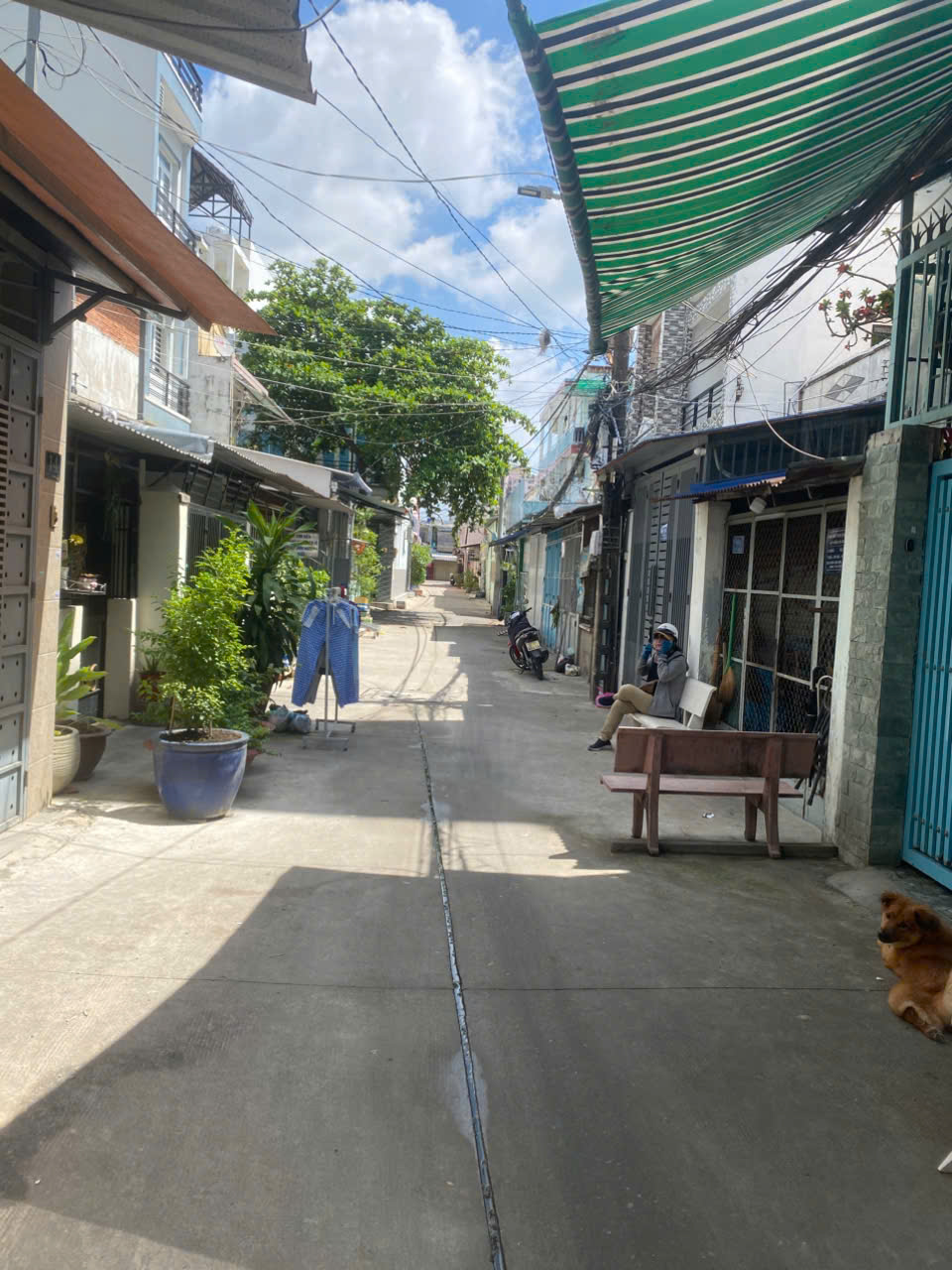 SIÊU HIẾM, CẦN BÁN GẤP NHÀ BÌNH ĐÔNG [P14, Q8] DT: 69M2 (3.7 X 20M)4T, 5PN,4WC CHỈ 5.35 TỶ - Ảnh chính