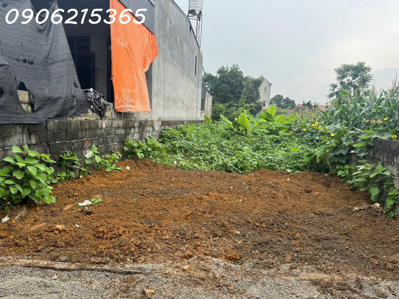 Tôi cần bán lô đất 136m2, Văn Sơn, Hoàng Văn Thụ, ngõ thông, ô tô - Ảnh 3