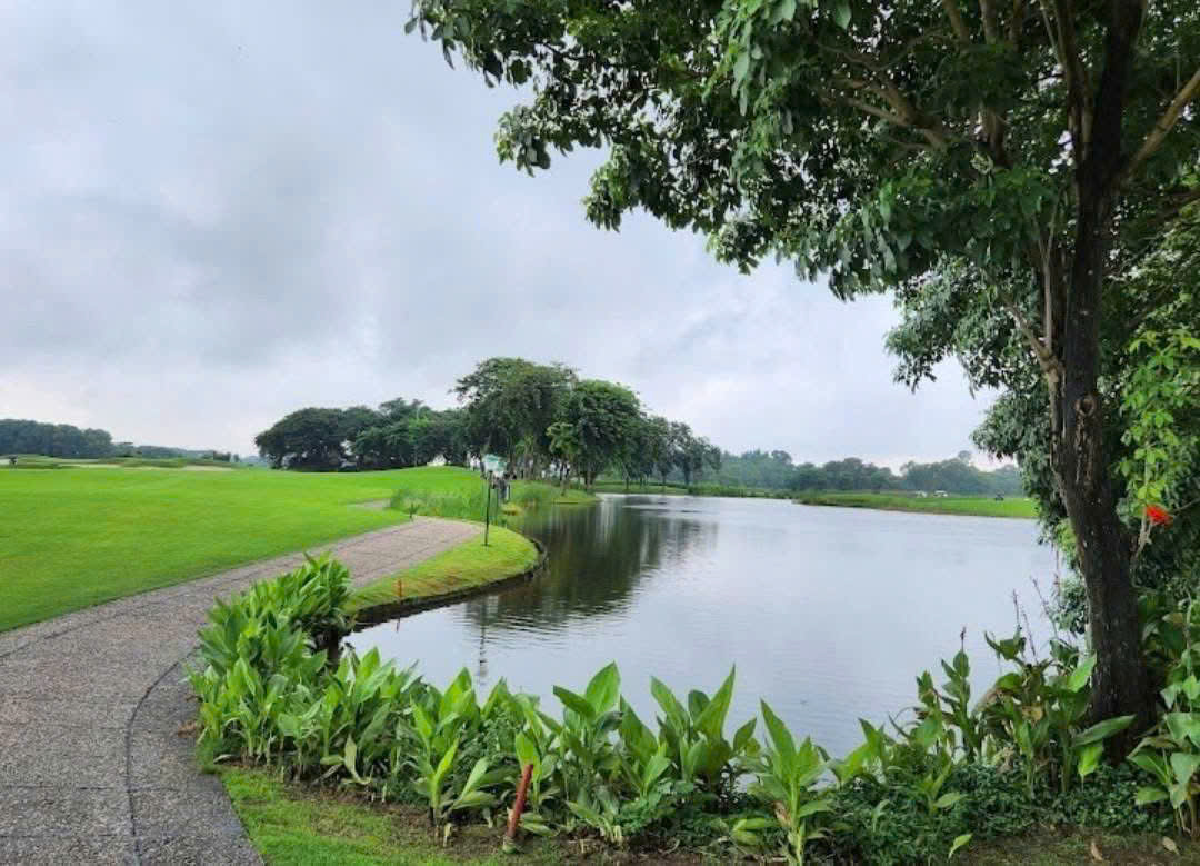 🏌️‍♂️【SIÊU PHẨM BIỆT THỰ SÂN GOLF VÂN TRÌ – KHU D ĐỘC TÔN, CHỈ 220 TỶ】 - Ảnh 4